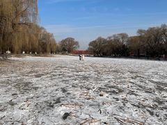-北陵公园