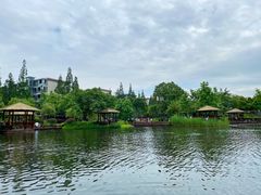 -成飞公园