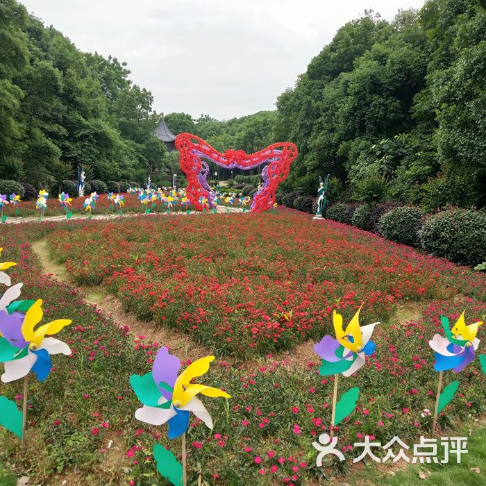 光明蝶谷