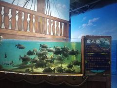 -沙沙哗啦海洋馆(华宇百花谷店)