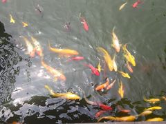 -石家庄市植物园