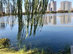 -尚贤河湿地
