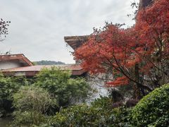 -中国茶叶博物馆(双峰馆区)