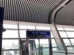 -合肥新桥国际机场-航站楼