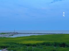 -南汇嘴观海公园