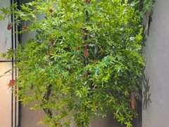 -北京老铺烤鸭(西稍门店)