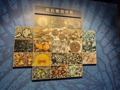 -贵州省地质博物馆