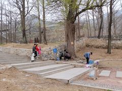 -阳台山自然风景区