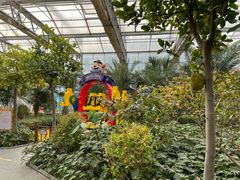 -南宫五洲植物乐园