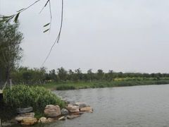 -天津东丽湖风景区