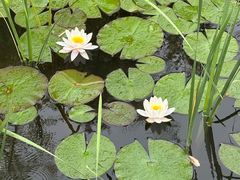 -祥源·阜阳生态乐园