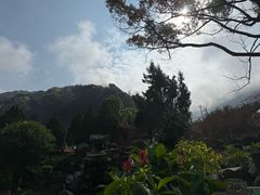 -灵光寺