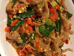 鸭掌筋-壹盏灯(惠农店)