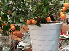 -羡餐厅·杭帮菜·淳菜(千岛湖自由洲际殿店)