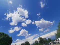 -阳台山自然风景区