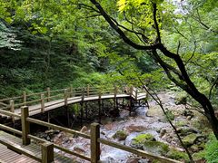 -本溪汤沟绿石谷森林公园