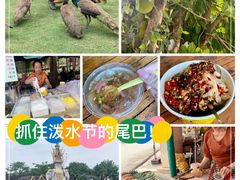 -西双版纳傣族园