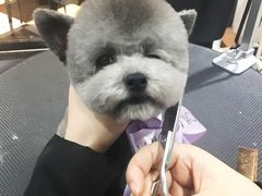 -Oh My Dog宠物沙龙(伊珊娜皮毛护理店)