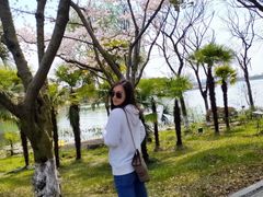 -金鸡湖桃花岛