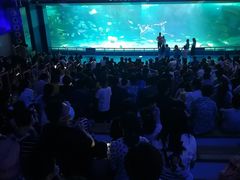 -泉城欧乐堡海洋极地世界