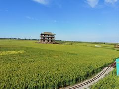 -红海滩国家风景廊道