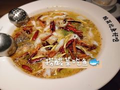 老坛子酸菜鱼-新太二·鲜料川菜(万泰汇店)