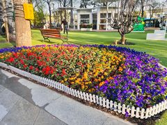 -北京海德酒店温泉