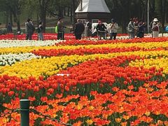 -大宁公园