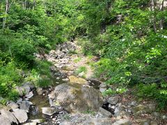 -黄椅山火山森林公园