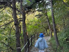 -阳台山自然风景区