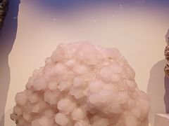 -重庆自然博物馆(新馆)