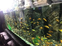 -重庆欢乐海底世界