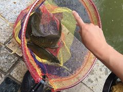 -酷鱼垂钓CLUB(朝阳区博大路店 )