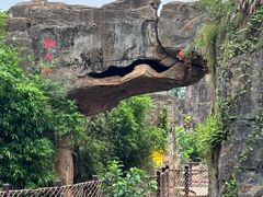 -海南热带野生动植物园