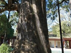 -黄帝陵