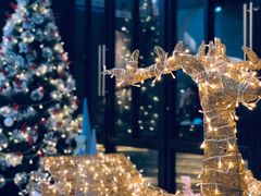 -大树餐厅(红旗街万达店)