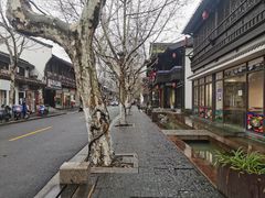 -孙奶奶葱包桧