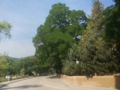 -延安杨家岭革命旧址