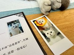 -美迦爱-牙专科·兔科·骨科诊疗中心(北苑店)