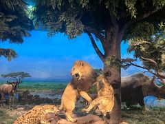 -国家自然博物馆