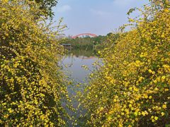 -成都南湖公园