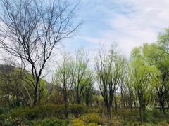 -西湖风景区-江洋畈生态公园