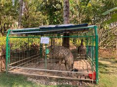 -西双版纳融创皇冠假日度假酒店