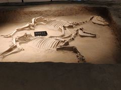 -洛阳周王城天子驾六博物馆