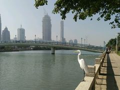 -白鹭洲公园