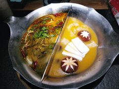 红颜花胶鸡锅-湊湊火锅·茶憩(石家庄万象城店)