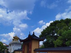 -上海东林寺(金山区)