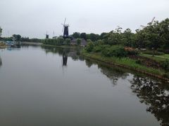iphone_upload_pic-上海鲜花港