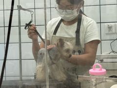 -Pets First伊珊娜洗护·精致美容·家庭式寄养(新会路店)