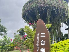 -芒洲湿地公园